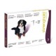 Stronghold dog 40.1 to 60 kg kills Fleas, Worms, Ear Mite